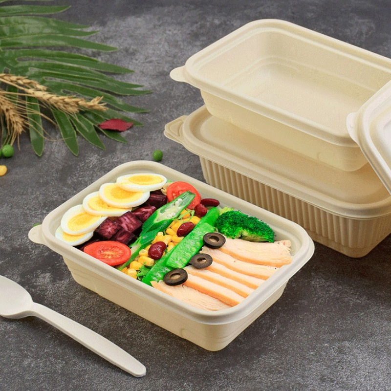 Aangepast formaat voedseldoos Composteerbare wegwerp fastfoodcontainer voor bento-winkel Afhaalmaaltijden Maïszetmeel biologisch afbreekbare voedselcontaine
