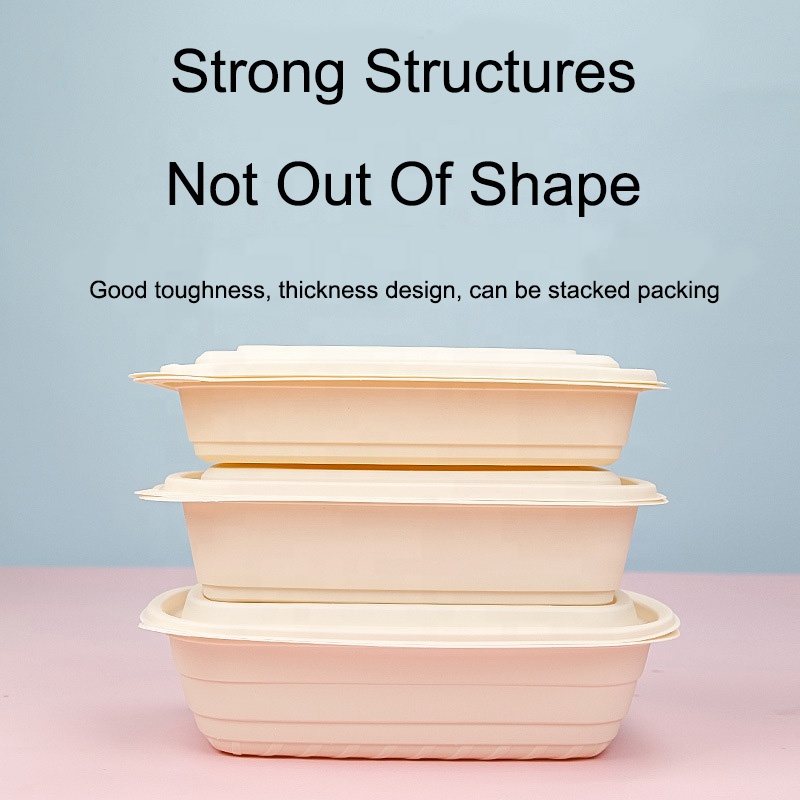 Biologisch afbreekbaar maïszetmeelfast food packaging box rechthoekige takeaway food container lunch doos afbreekbaar